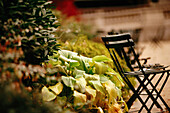 Autumn vignette in Bryant Park, New York City, with signature chairs