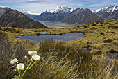 View up the Tasman Valley from the slopes of Sebasapol, Mt Cook National Park, New Zealand