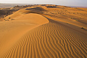 Dunes at sunrise, northern edge of the Wahiba Sands, Oman