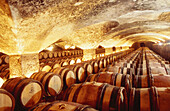 Wine cellar of Meursault. Burgundy. France