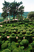 Gardens of the Chateau de Marqueyssac. Dordogne. Aquitaine. France