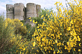 Domeyrat Castle. Haute Loire. Auvergne. France