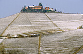 Treiso. Langhe region, Piedmont, Italy