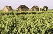 Cabins near Codigoro, Po river delta. Emilia-Romagna, Italy