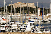 Fort Carré. Antibes. Alpes Maritimes. France.