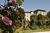 Toblino Lake. Cavit vineyards. Trentino. Italy.