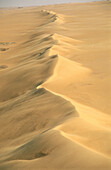 Desert. Egypt