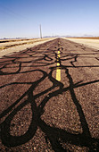 Road with yellow line and repair streaks. Gila Bend. Arizona. USA.
