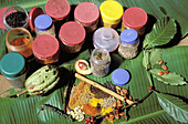 Spices in the Spices garden around Kandy. Sri Lanka
