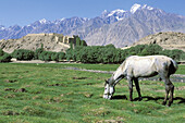 The old citadel. Silk route. Silk road. Tashkurgan. Sinkiang Province (Xinjiang). China