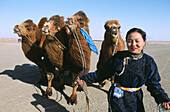 Mongolia. Gobi desert. Dalanzadgad area. Moron village. Camel festival. Mongolian new year.