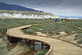 Tourists walking on wooden boardwalk nature trail path at Salt Creek, Death Valley National Park, California