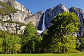 Upper Yosemite Fall in spring, Yosemite Valley, Yosemite National Park, California