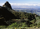 Las Cumbres Natural Park. Gran Canaria, Canary Islands. Spain