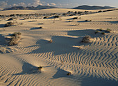 Corralejo dunes. Fuerteventura Island. Canary Islands. Spain