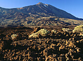 Teide Peak in Las Cañadas del Teide National Park. Tenerife Island. Canary Islands, Spain