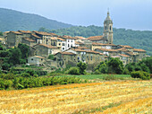 Antoñana in Alava. Euskadi, Spain