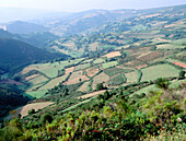 Láncara region. Lugo province, Spain