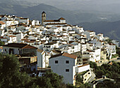 Algatocín, Genal valley, Serranía de Ronda. Málaga province, Spain