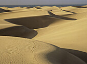 Maspalomas dunes. Gran Canaria Island. Canary Islands. Spain