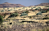 Sabana landscape. Damaraland. Namibia