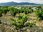 Prado de Paul pools. Laguardia. Rioja alavesa. Spain
