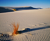 White Sands National Monument. New Mexico. USA