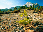 Mount Pedraforca in Bergueda. Barcelona province. Cataluña. Spain