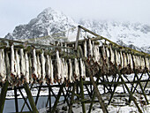 Lofoten Islands, Norway