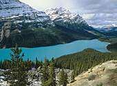 Peyto Lake. Banff. Rocky Mountains. Canada.