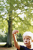 hild, Childhood, Children, Children only, Color, Colour, Contemporary, Country, Countryside, Curiosity, Curious, Daytime, Exterior, Fair-haired, Hold, Holding, Human, Kid, Kids, Leaf, Leaves, Leisure