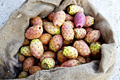 Prickly Pears. Majorca, Balearic Islands. Spain