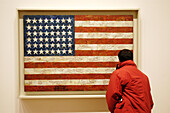 Flag (c. 1954), by Jasper Johns. Visitor at Museum of Modern Art. New York City. USA