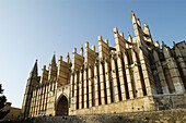 Gothic cathedral of Palma de Mallorca. Majorca. Balearic Islands. Spain