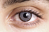  Anschauen, Auge, Augen, Blauäugig, Blaue Augen, Blick, Blick Kamera, Blicke, Detail, Details, Eine Person, Eins, Erwachsene, Erwachsener, Farbe, Horizontal, Innen, Kontaktlinse, Kontaktlinsen, Mensch, Menschen, Nahaufnahme, Nahaufnahmen, Schauen, Sicht, 