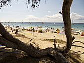 Ses Salines beach. Eivissa. Balearic Islands. Spain.