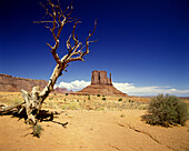 Scenic west mitten, Monument valley navajo tribal park, Arizona, USA.