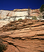 Scenic mount spry, Zion national park, Utah, USA.