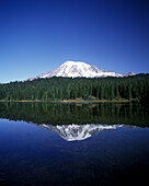 Scenic Mount Rainier, Rainier national park, Washington state, USA.