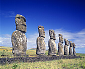 Moai, Ahu akivi, Easter island, Chile.