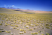 Scenic desert, Tatio, Ii region, Chile.