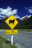 Sheep sign, Eglinton valley, Fiordland, New zealand.