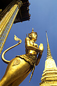 Bird woman, Wat phra kaeo (grand palace), Bangkok, Thailand.