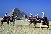 Arabs on camels, Great pyramids, Giza ruins, Cairo, Egypt.