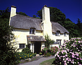 Cottage, Selworthy green village, Somerset, England, UK