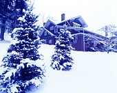 Snow, Christmas tree & house, Brookville historic district, Pennsylvania, USA.
