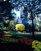 Fall foliage, The pond, Central park, Manhattan, New York, USA.