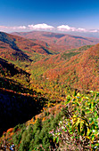 Autumn seen from the Chimneys Great Smoky Mountains National Park. Tennessee. USA