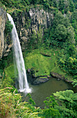 Bridal Veil Falls. Waikato, North Island. New Zealand