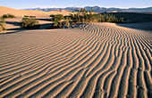 Death Valley NP. California. USA.